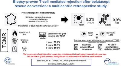 Biopsy-Proven T-Cell Mediated Rejection After Belatacept Rescue Conversion: A Multicenter Retrospective Study